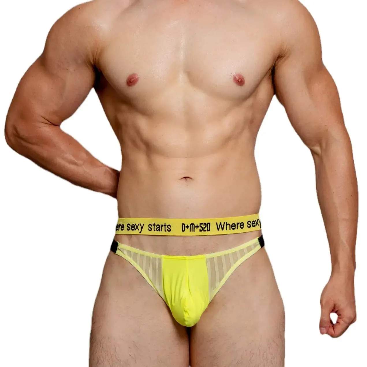 D.m Sexy Mesh mens bikini briefs