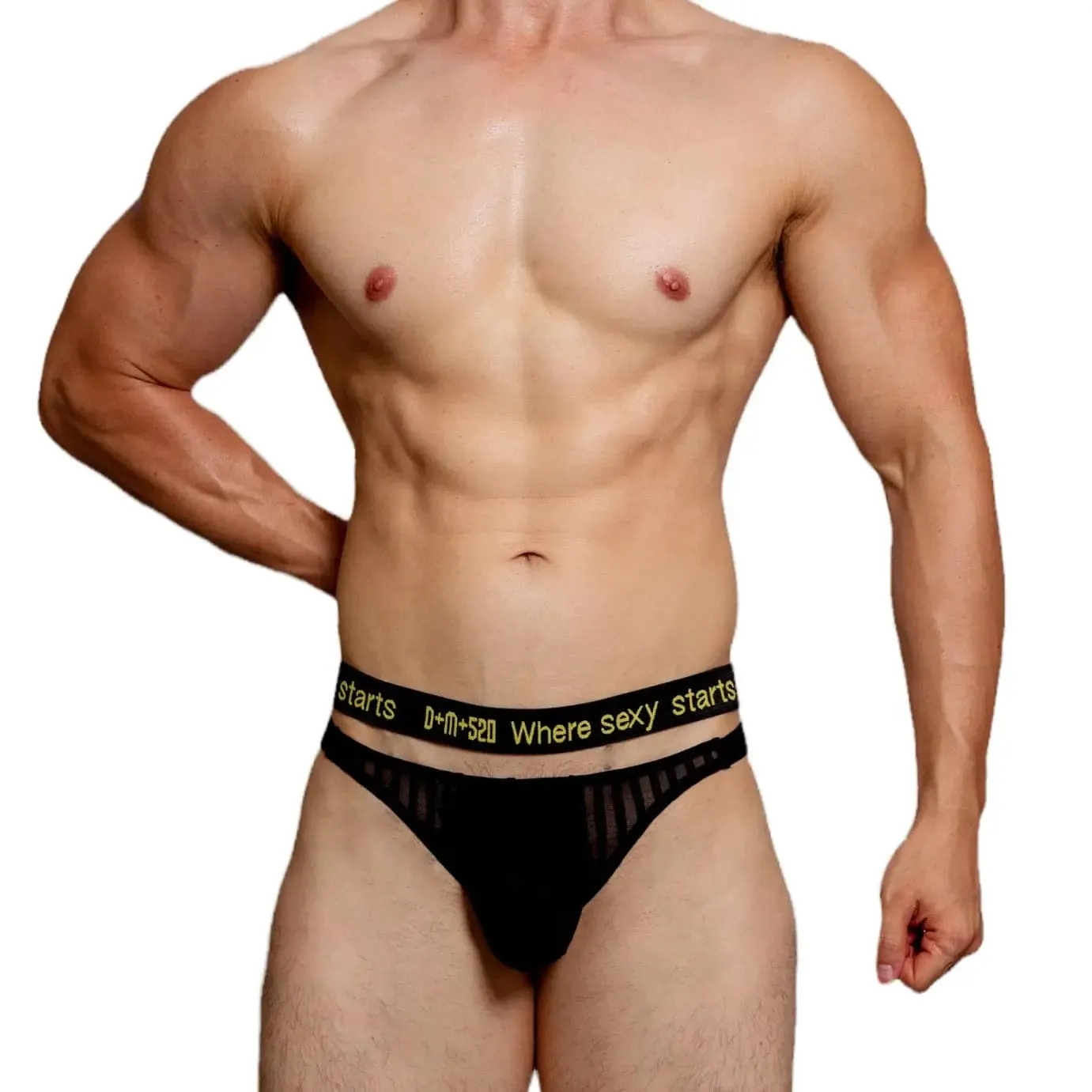 D.m Sexy Mesh mens bikini briefs