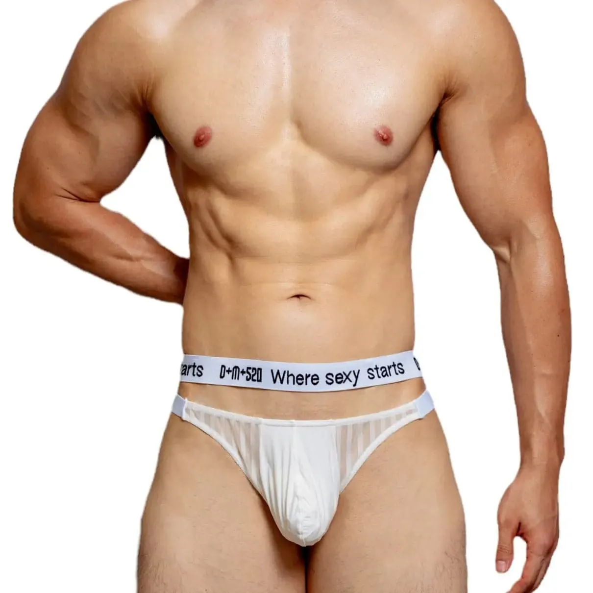 D.m Sexy Mesh mens bikini briefs