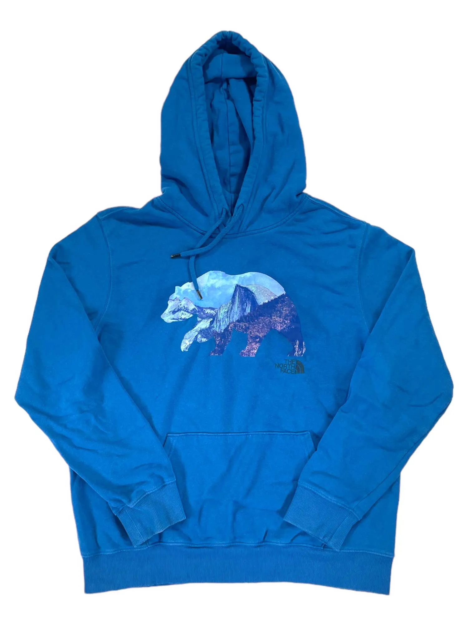 Mens TNF Bear Hoodie