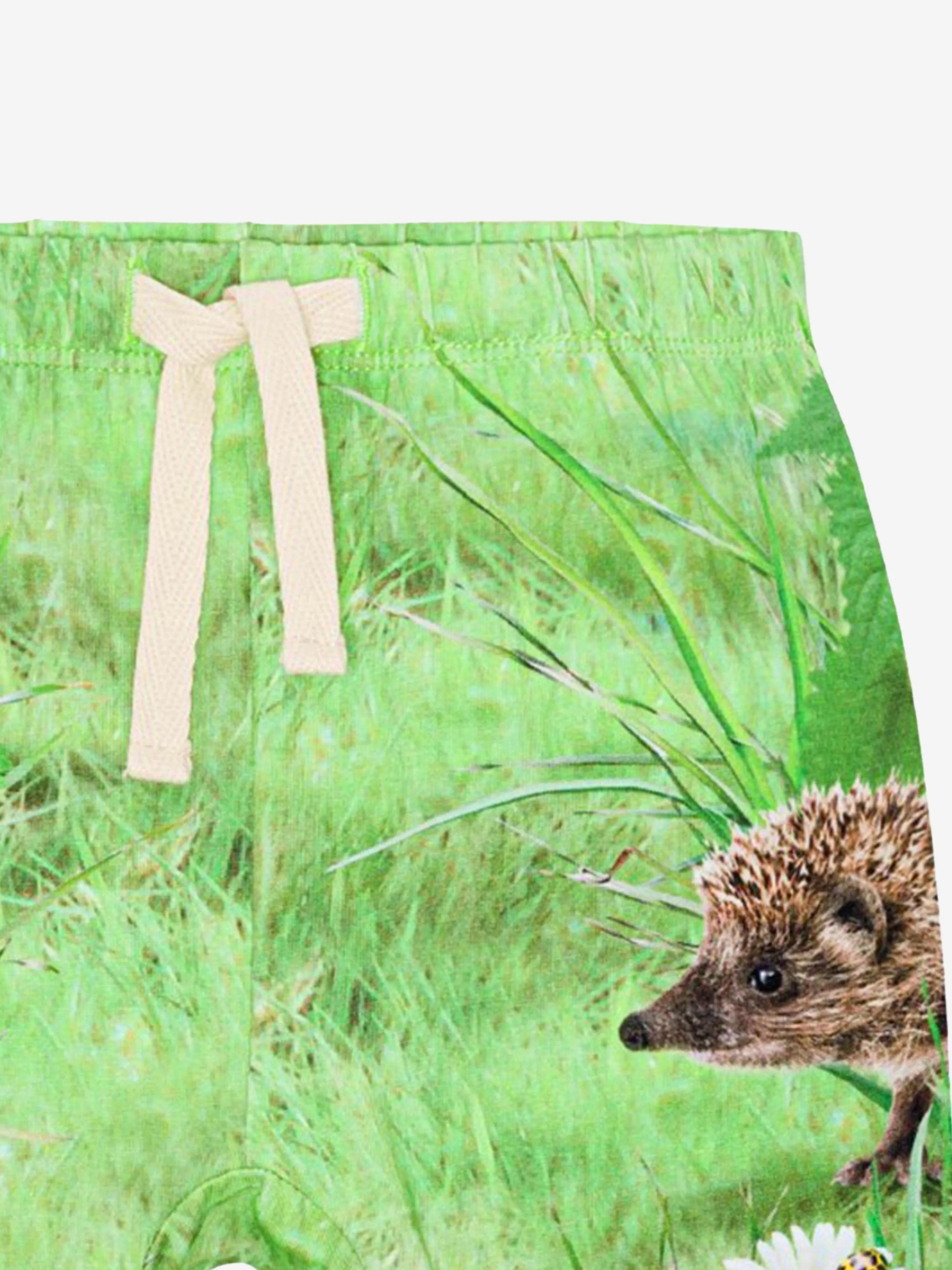 Molo Baby Hedgehog Joggers in Green