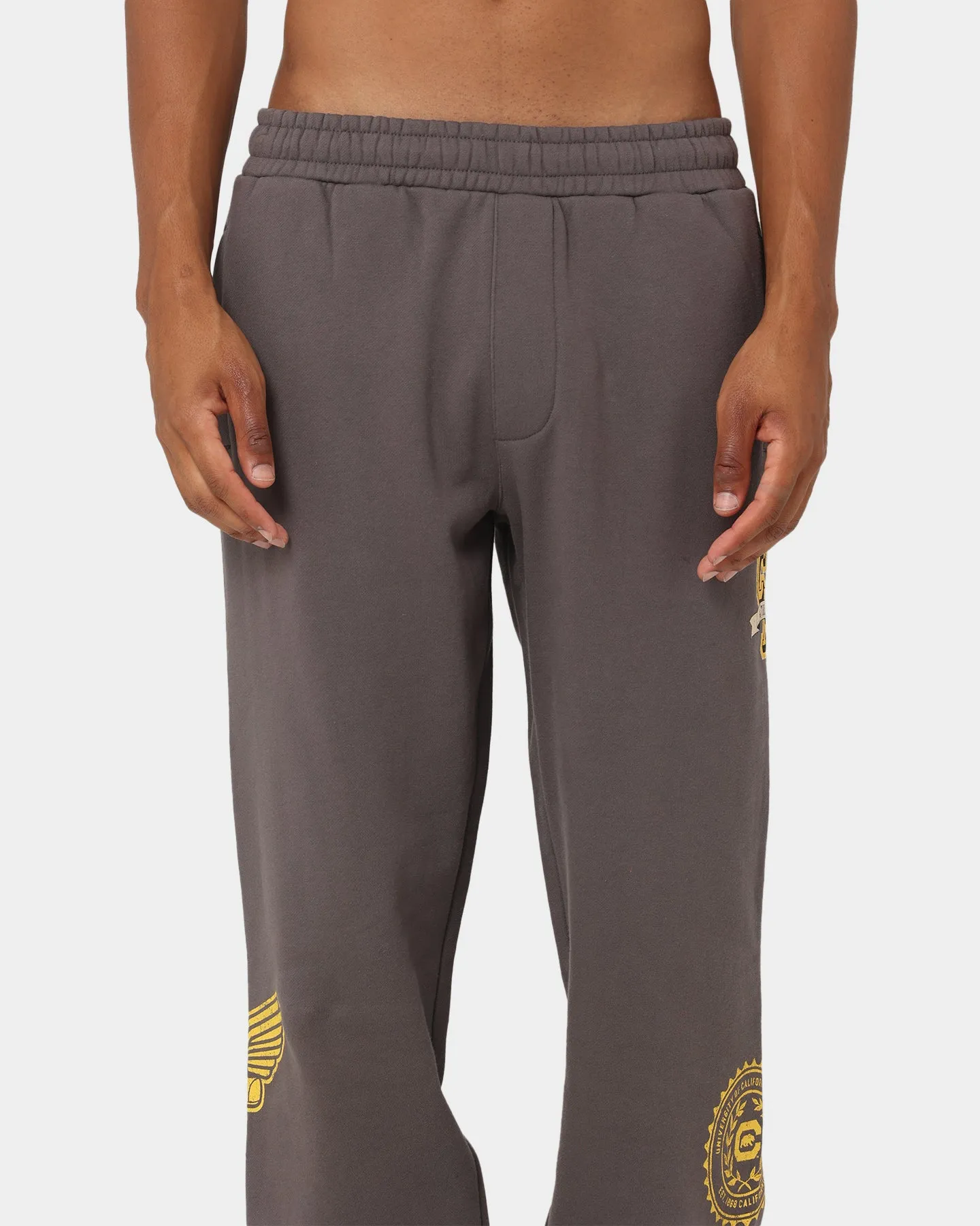 The New Establishment College Captain Berkeley Joggers Vintage Charcoal