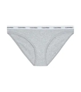 Underwear Bikini Grey